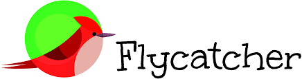 FlycatcherToys: Pixel Beads 